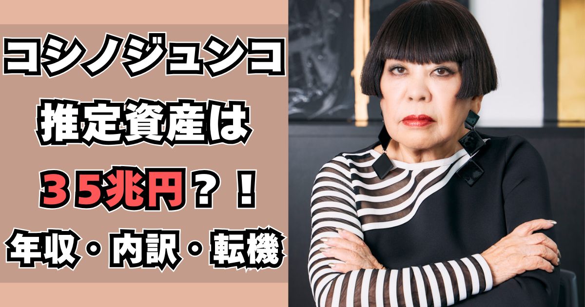 コシノジュンコ　資産
